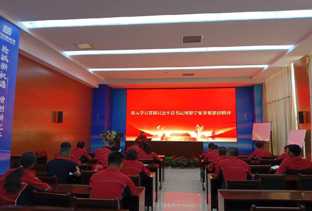 砥砺前行 再建新功 | 英国上市公司365党总支深入学习贯彻习近平来宁视察重要讲话精神