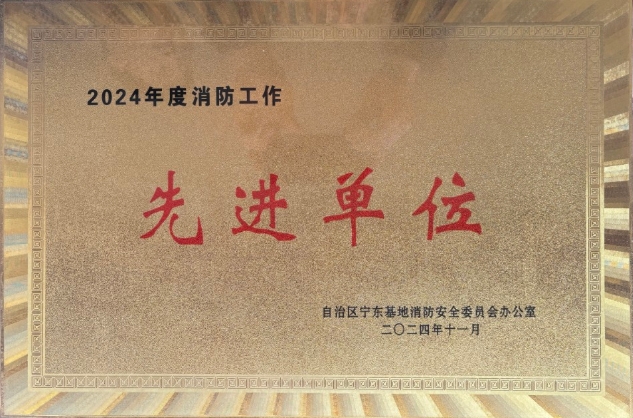 筑牢安全基石 强化消防管控|英国上市公司365荣获2024年度消防工作先进单位