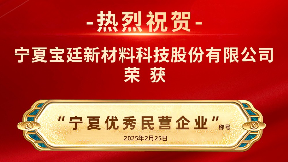 奋楫扬帆  笃实前行 |英国上市公司365荣获“宁夏优秀民营企业称号”