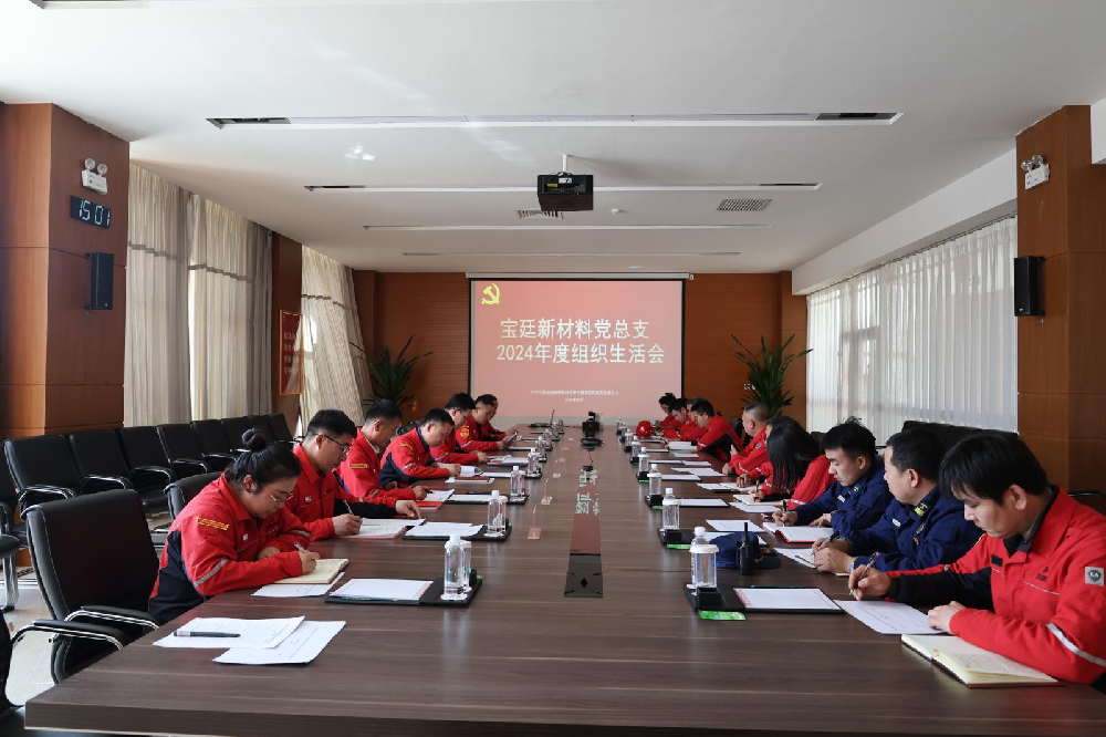 英国上市公司365党总支召开2024年度 组织生活会和民主评议党员大会